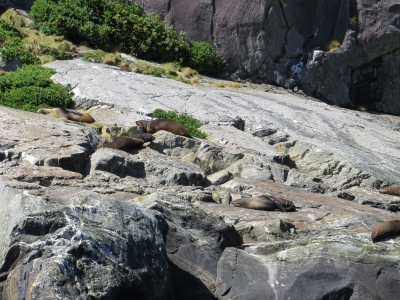 Neuseeland_2014_Tour_3_030