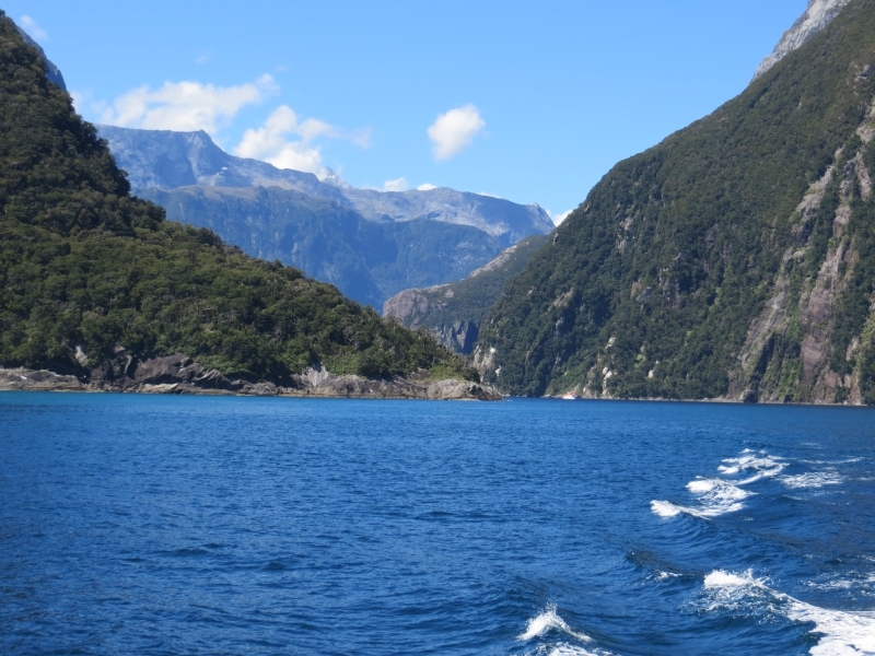 Neuseeland_2014_Tour_3_036
