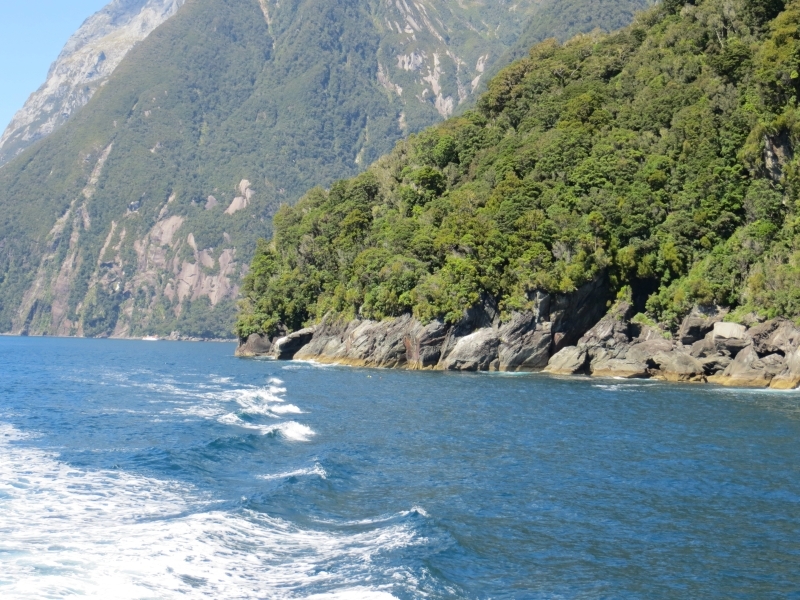 Neuseeland_2014_Tour_3_038