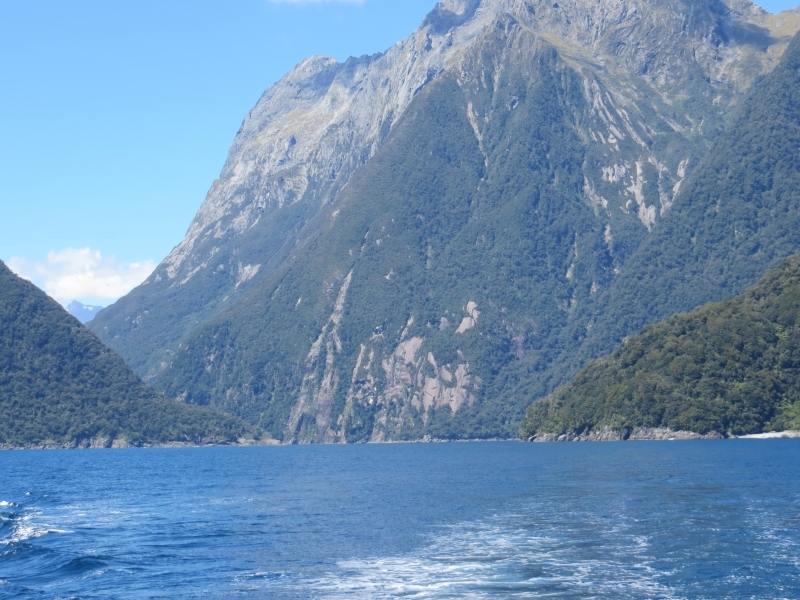 Neuseeland_2014_Tour_3_043