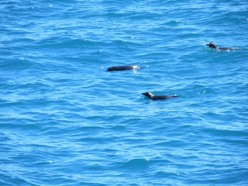 Neuseeland_2014_Tour_3_050