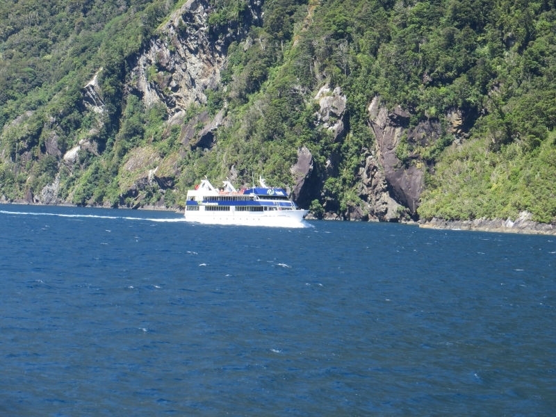 Neuseeland_2014_Tour_3_051