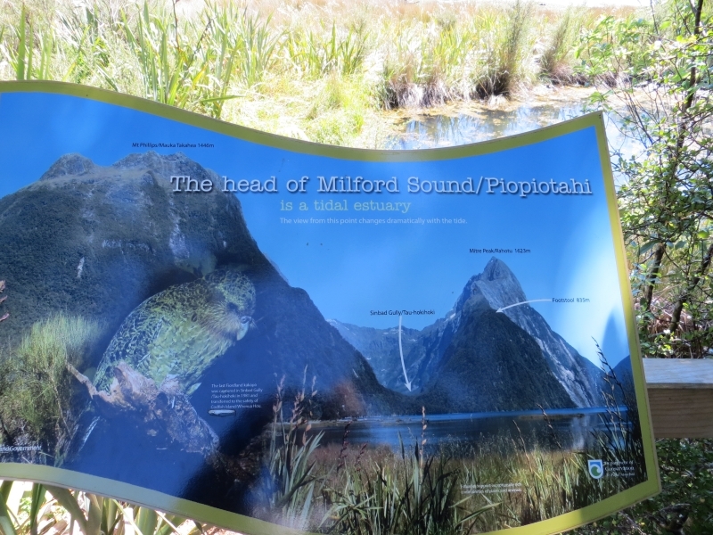 Neuseeland_2014_Tour_3_078