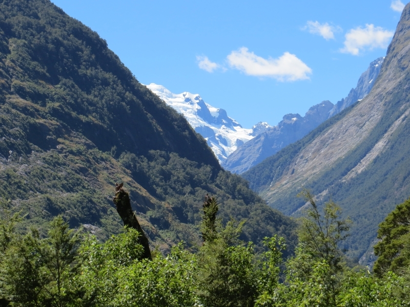 Neuseeland_2014_Tour_3_079