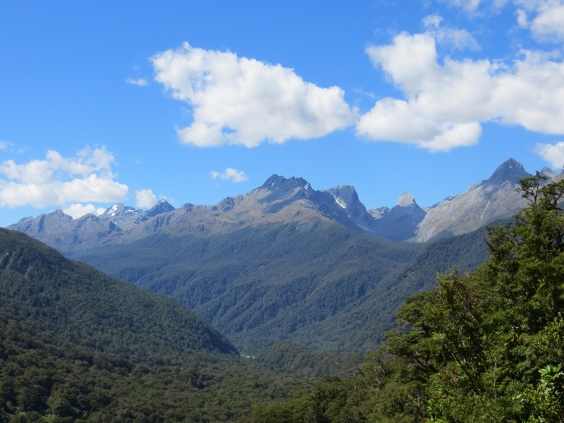 Neuseeland_2014_Tour_3_110