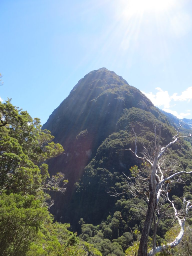 Neuseeland_2014_Tour_3_111