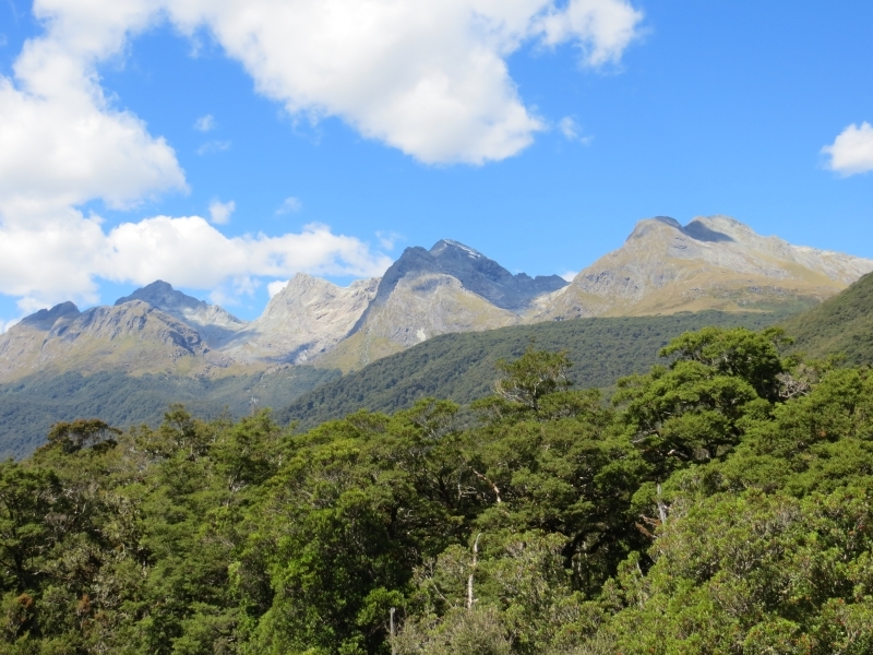 Neuseeland_2014_Tour_3_113