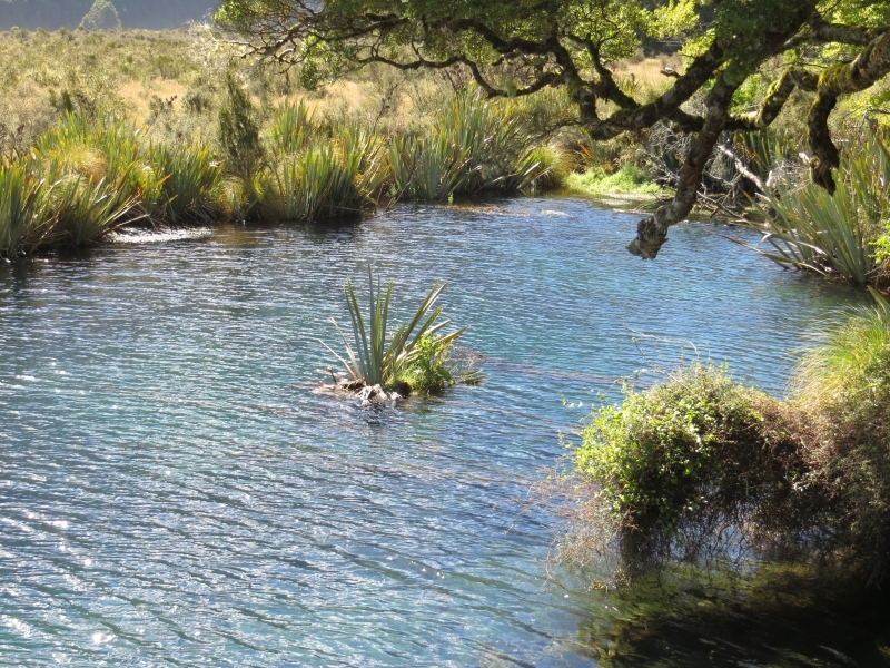 Neuseeland_2014_Tour_3_120