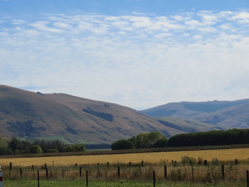 Neuseeland 2014 Tour 4 007