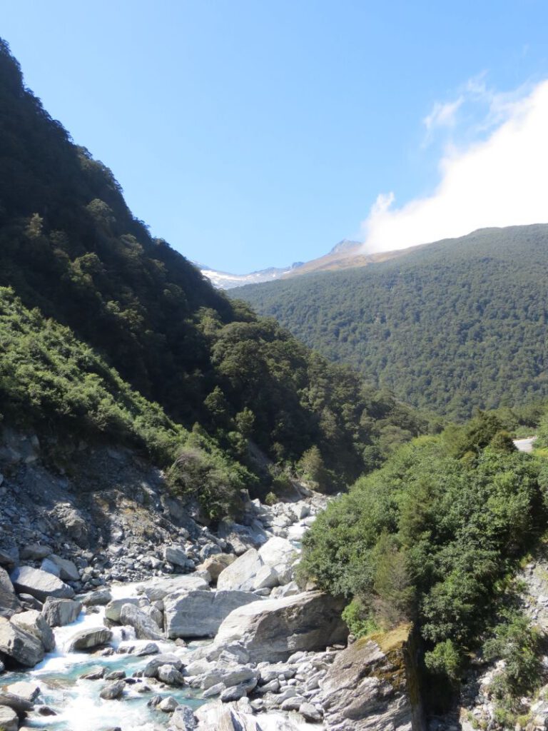 Neuseeland_2014_Tour_6_23
