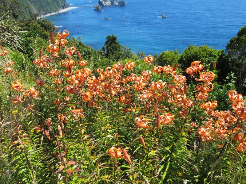 Neuseeland_2014_Tour_6_40