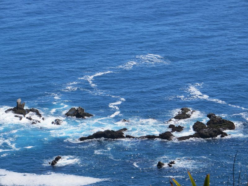 Neuseeland_2014_Tour_6_44