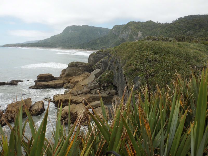 Neuseeland_2014_Tour_7_Pancake_29