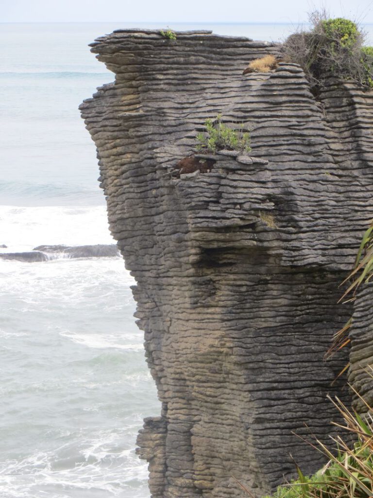 Neuseeland_2014_Tour_7_56