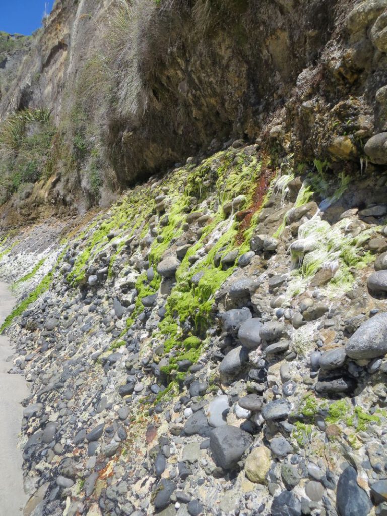 Neuseeland_2014_Tour_9_35