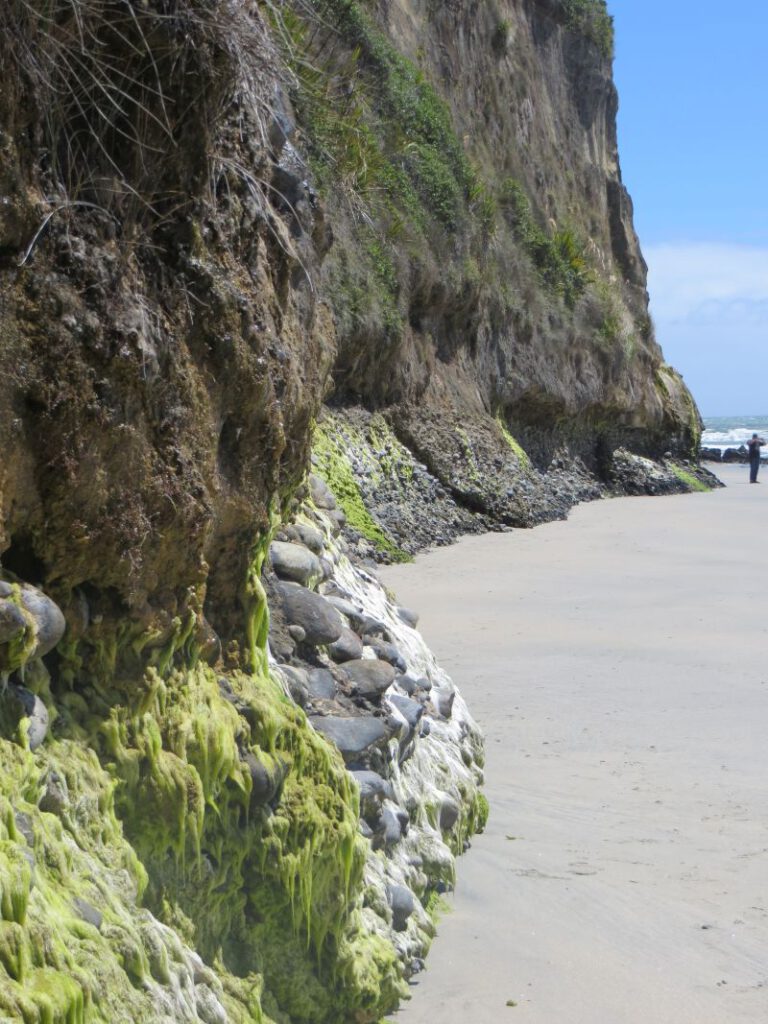 Neuseeland_2014_Tour_9_37