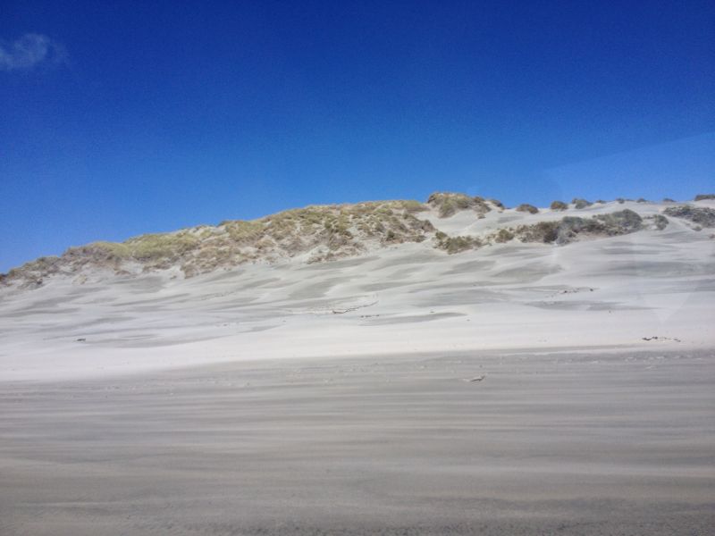 Neuseeland_2014_Tour_9_66