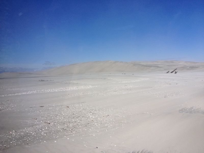 Neuseeland_2014_Tour_9_73