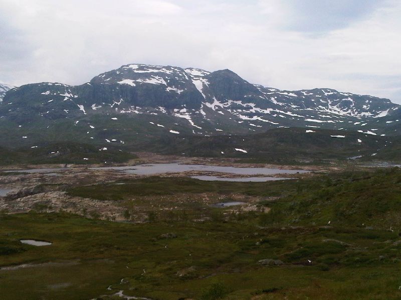 IMG00077-20100702-1452