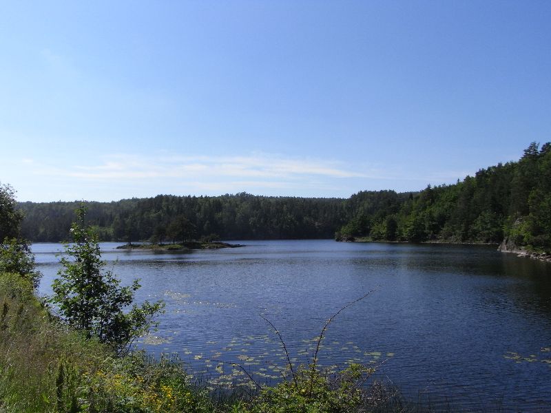 Jungsi - Norwegen 2010 029
