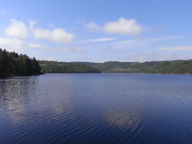Jungsi - Norwegen 2010 045