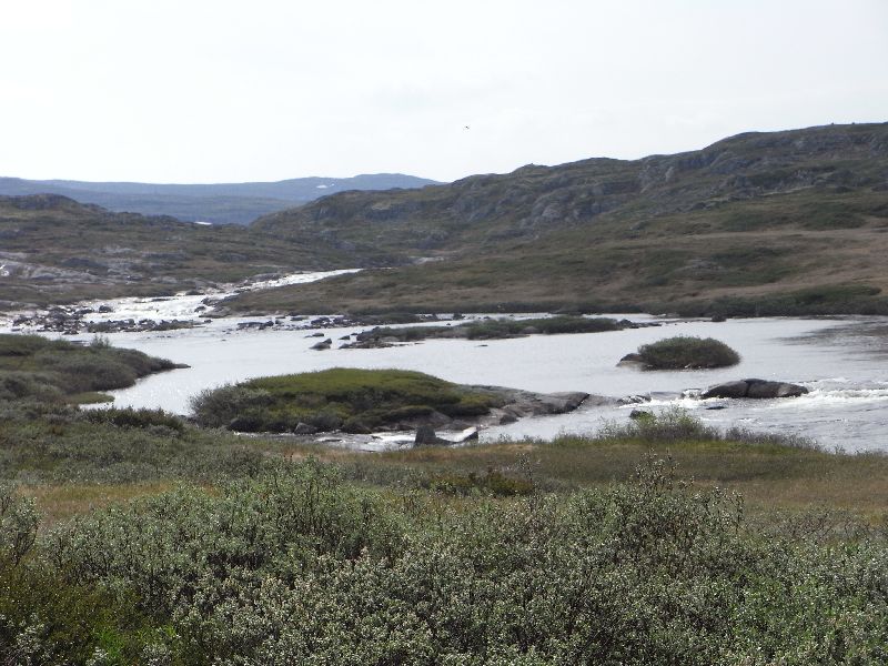 Jungsi - Norwegen 2010 192