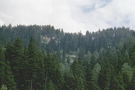 Schweiz 2002 Tour 5 Foto 6.jpg